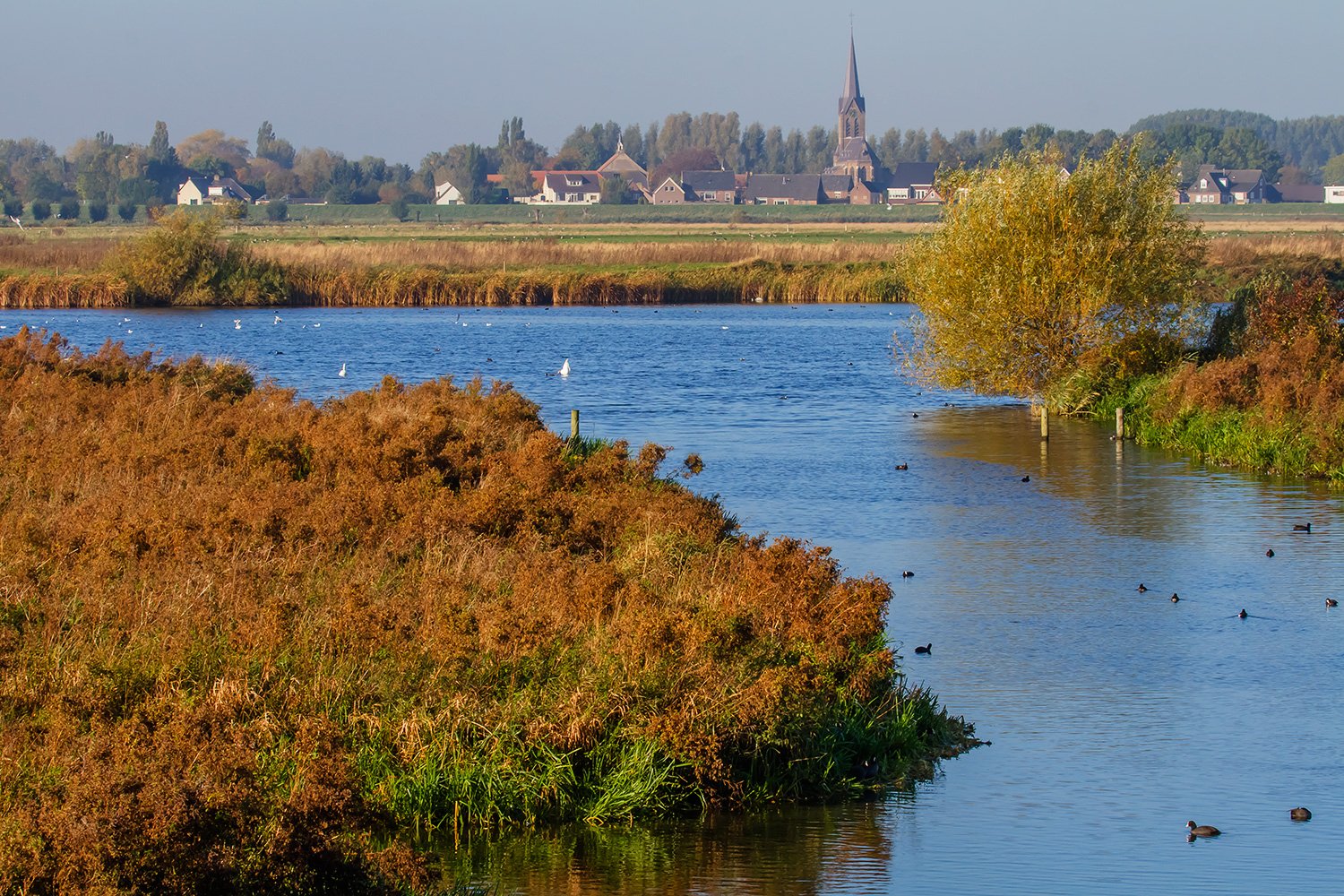 00003_00037_LITH_HERFST_7_24OKT_2013_2386AO1RCCz0_15