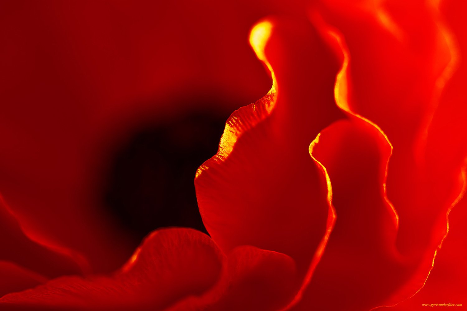 00003_MACRO_10MRT_2011_3944AO1RncuzN0_15