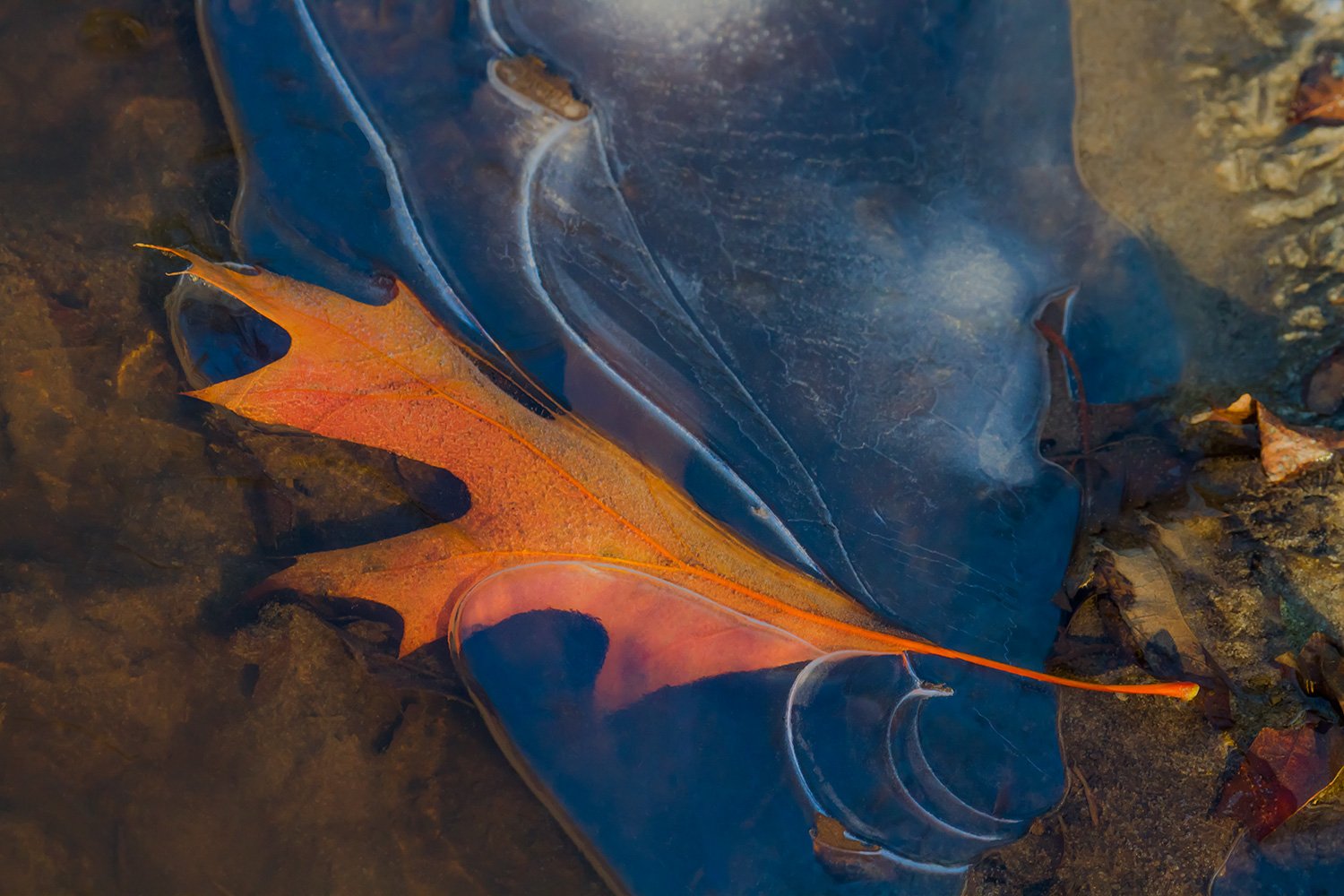 00004_L7_KINDERBOEIJ_3_11DEC_2012_9261AO1RCCz-40_15