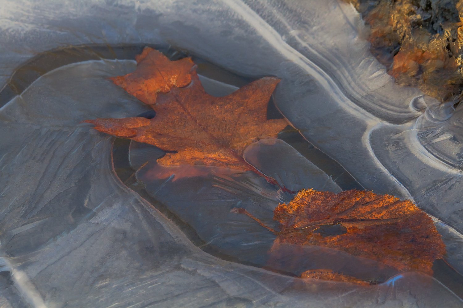 00005_KINDERBOERDERIJ_1_11DEC_2012_9177RCCz-40_15