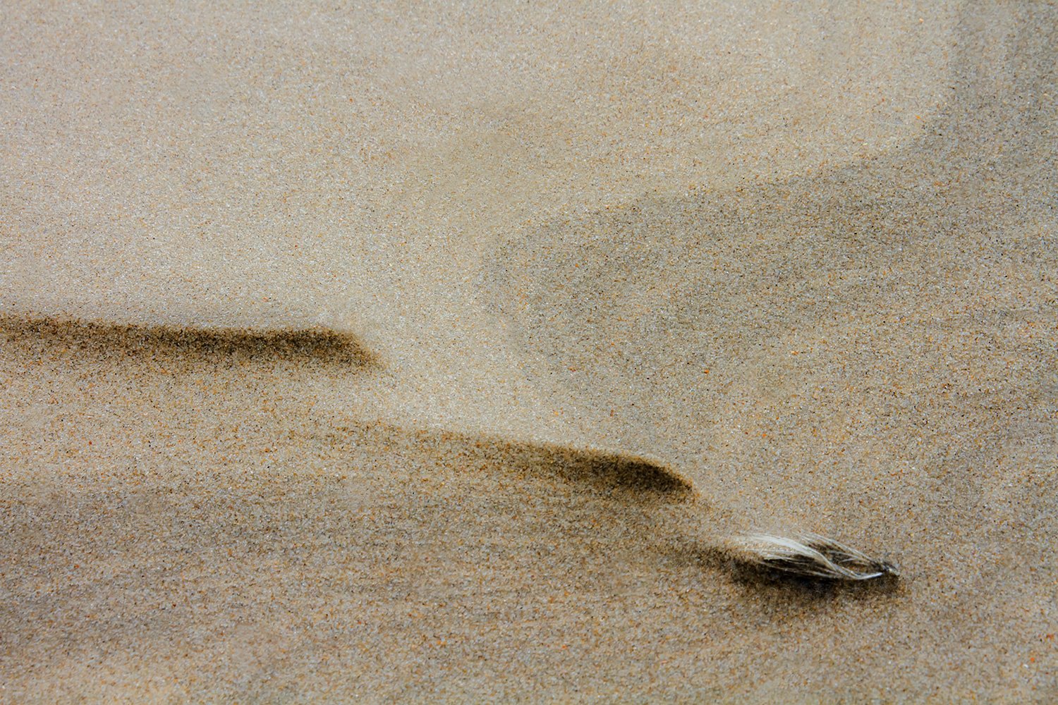 00009_M2_7D_UschiJochen_Ned1_2011_2317RCCz-402e_15