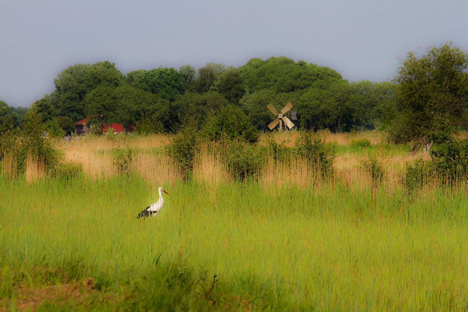 00011_GIETHOORN_11MEI_2011_1492AO1RncuzN_15