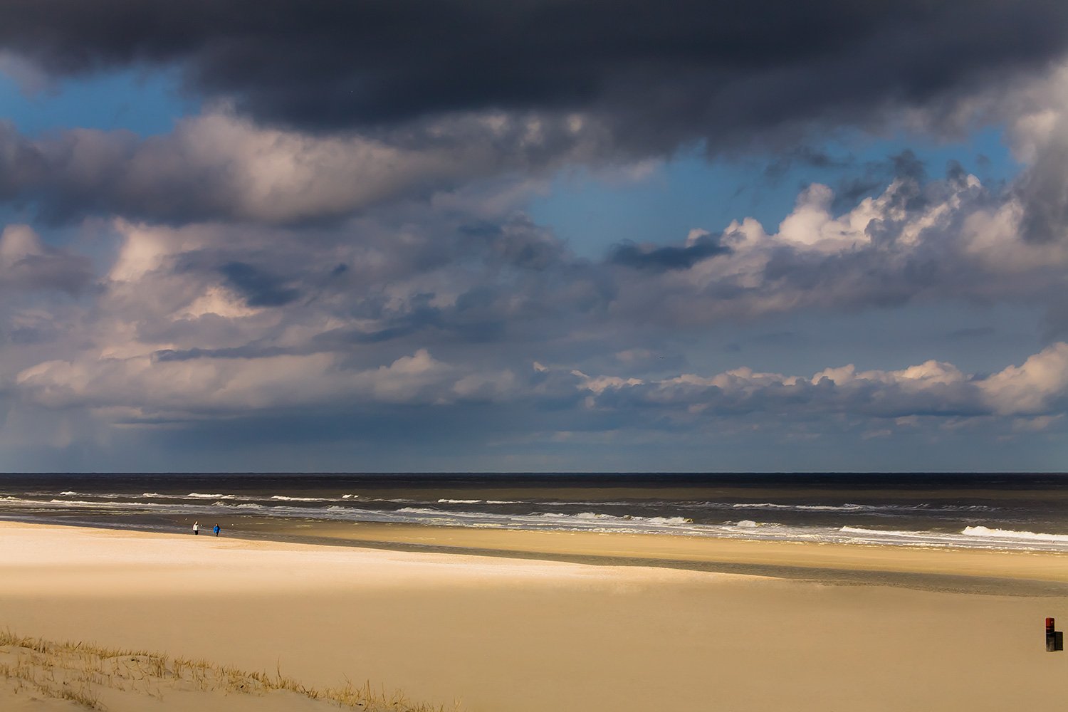 00011_M2_LENTE08_TEXEL_PHOTO_106_2752RCCz-40_15