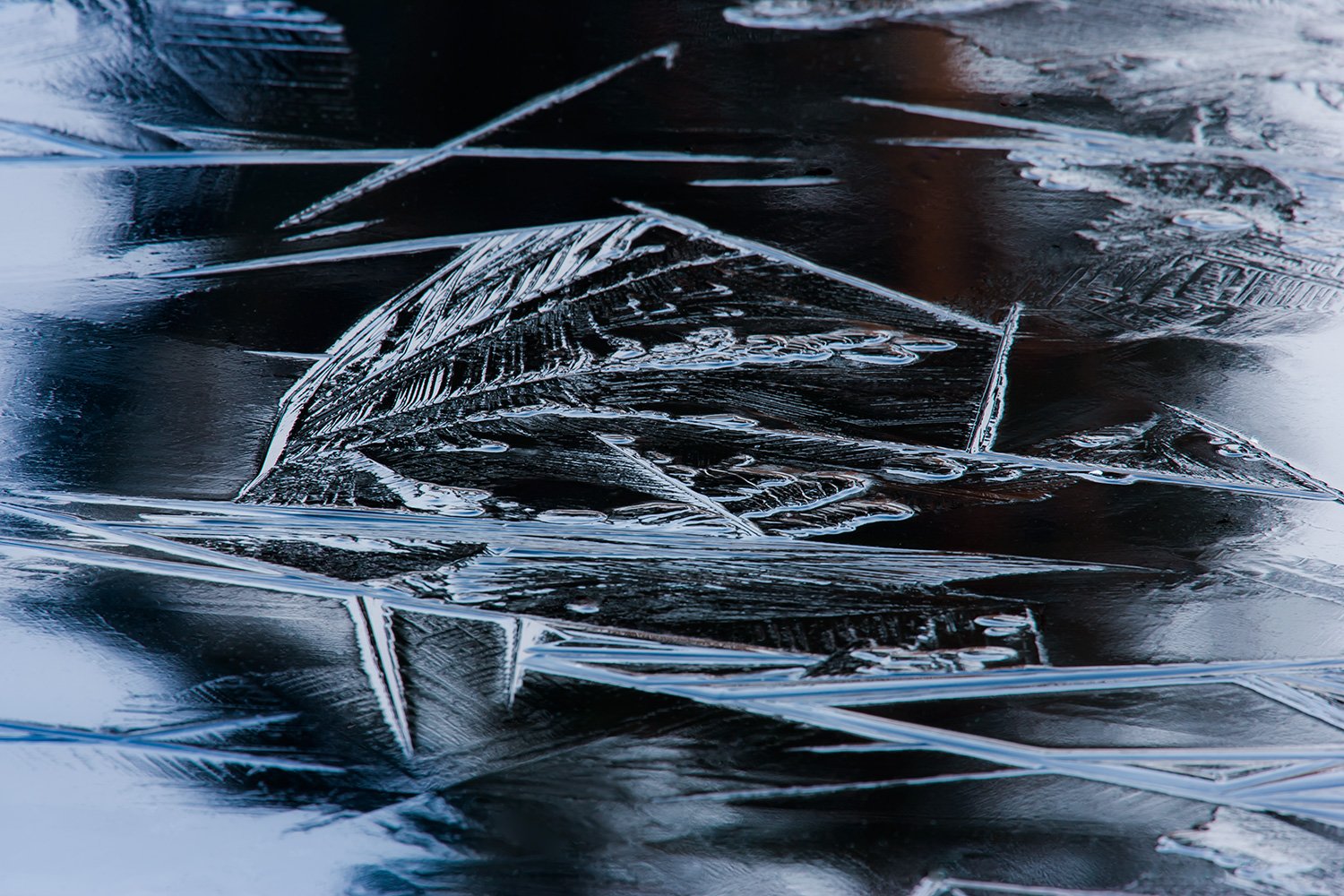 00011_M4_JAAR_WINTER08_OISTE-03_180208_6560RCCz-40_15