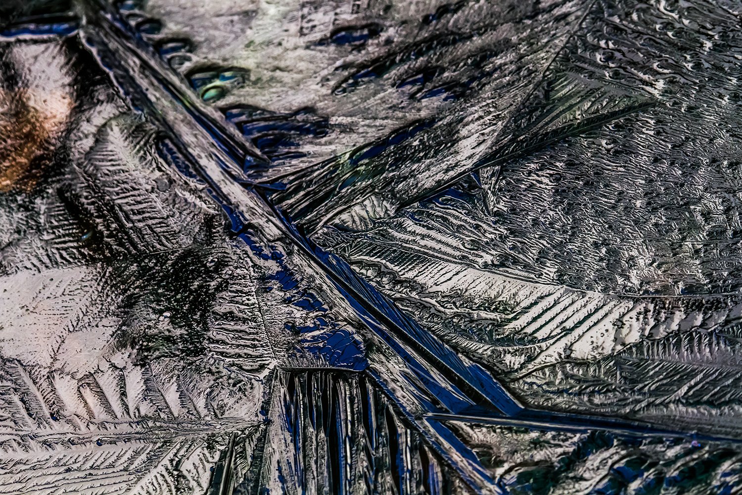 00015_VIVERIJS_18FEBR_2013_5774RCCz+70_15