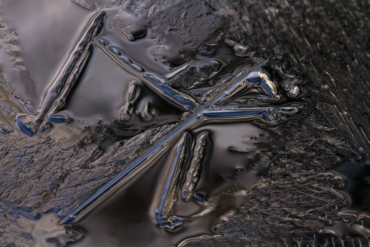 00017_KINDERBOERDERIJ_2_11DEC_2012_8561AO1RncuzzN0_15