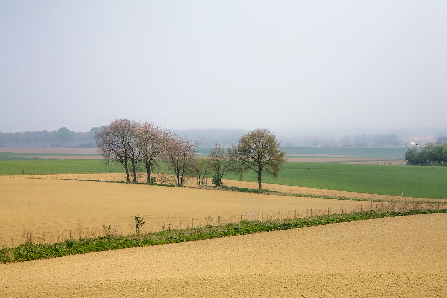 00019_IN1_JAAR_LENTE08_MOOK_01_240408_3110RCCz-40_15