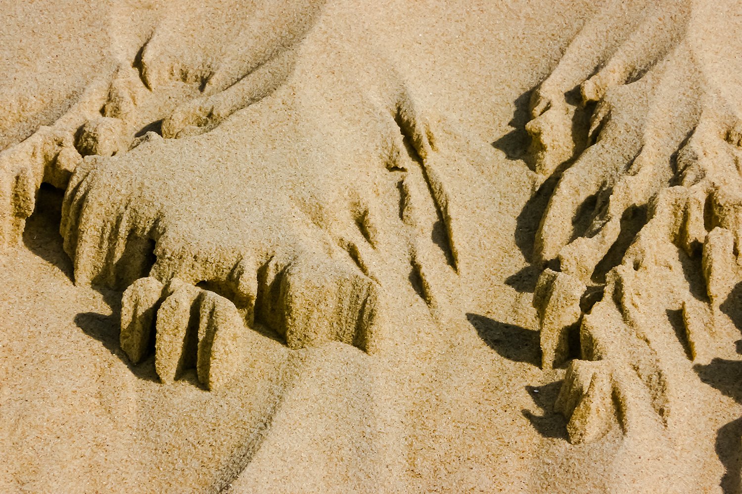 00025_M1_USCHI+JOCH_2013_105PAN_0758RCCz0_15