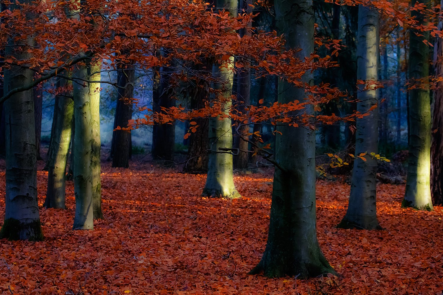 00027_ELSENDORP_3_14NOV_2014_6001RCCz-70_15