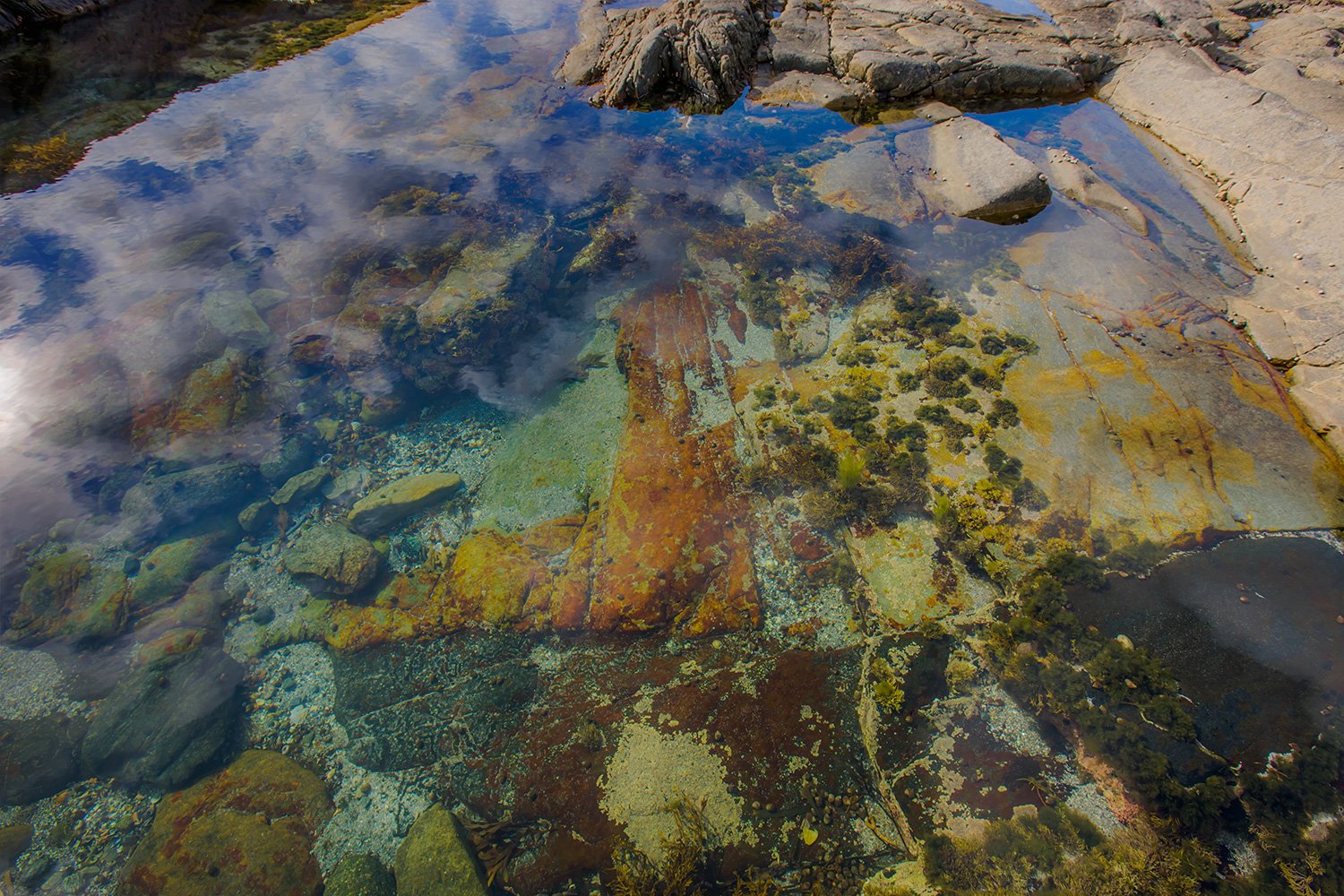 00031_M4_NO8_PHO_135_136_VIKT_3007RCCz-402e_15