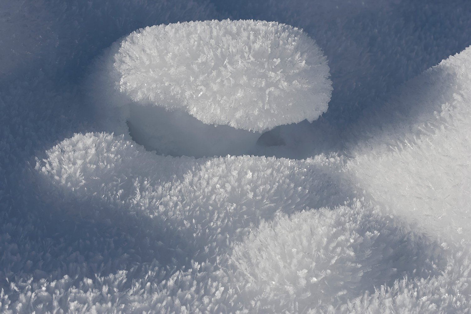 00031_RAMSAU_07_PHOTO_83_KULMRUNDE_3O45AO1RncuzN_15