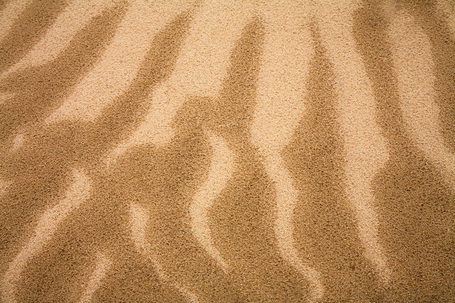 00035_M4_JAAR_HERFST_HVELU_2_23.10_15