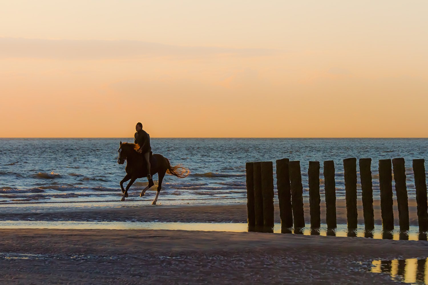 00037_M9_VERZHAAM_2011_Haamstede_GJ_260kt2011_7730RCCz-50_15