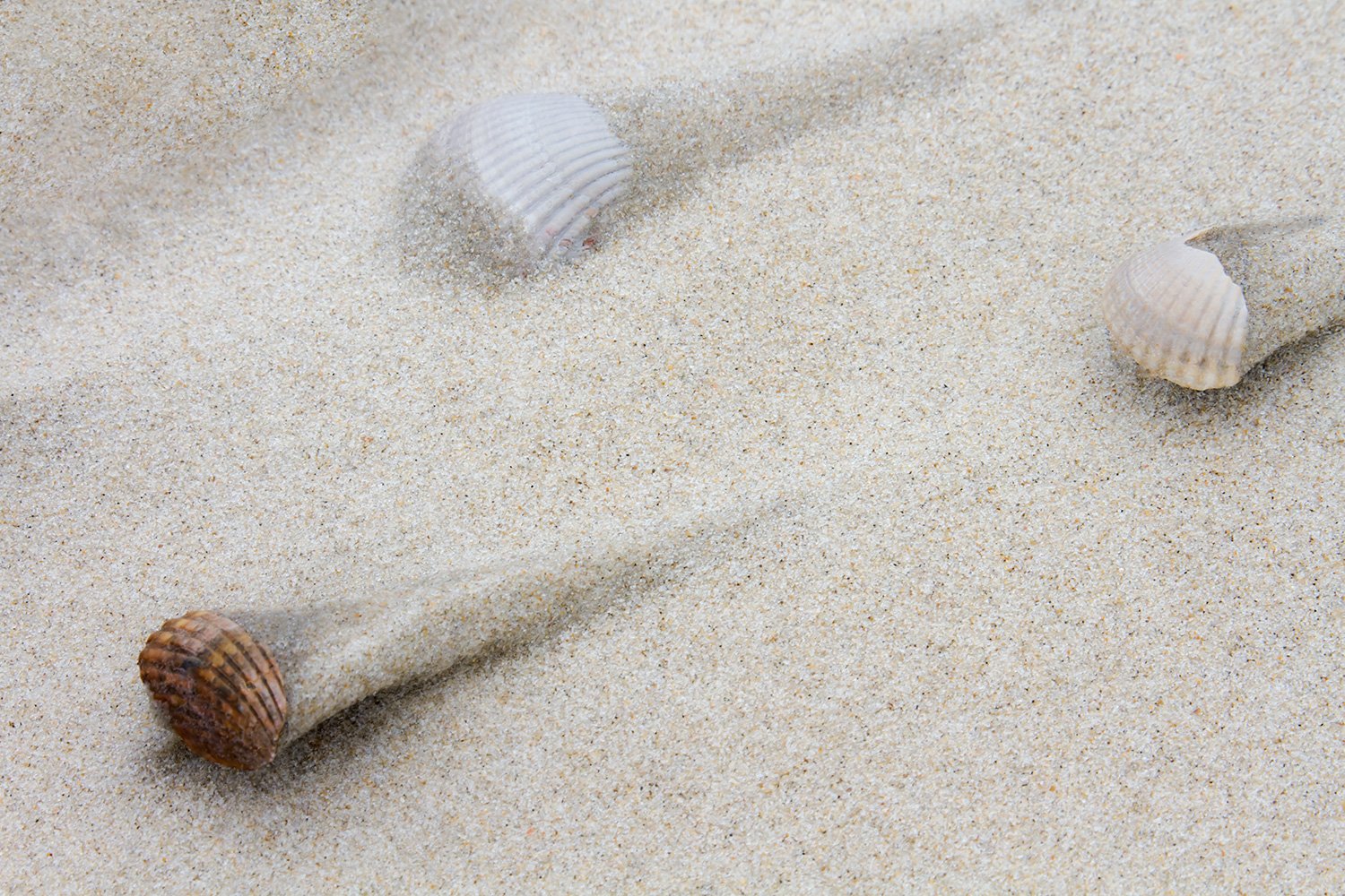 00041_M2_7D_UschiJochen_Ned1_2011_2229RCCz-40_15