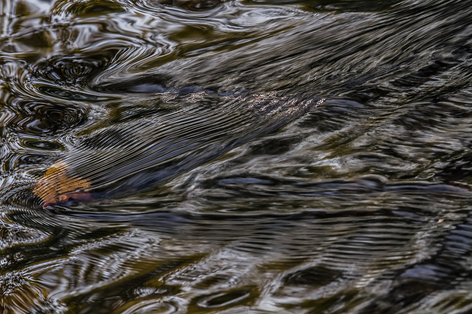 00041_M4_Sluis_2_04sept_2014_0052RCCz00007_+80s_15