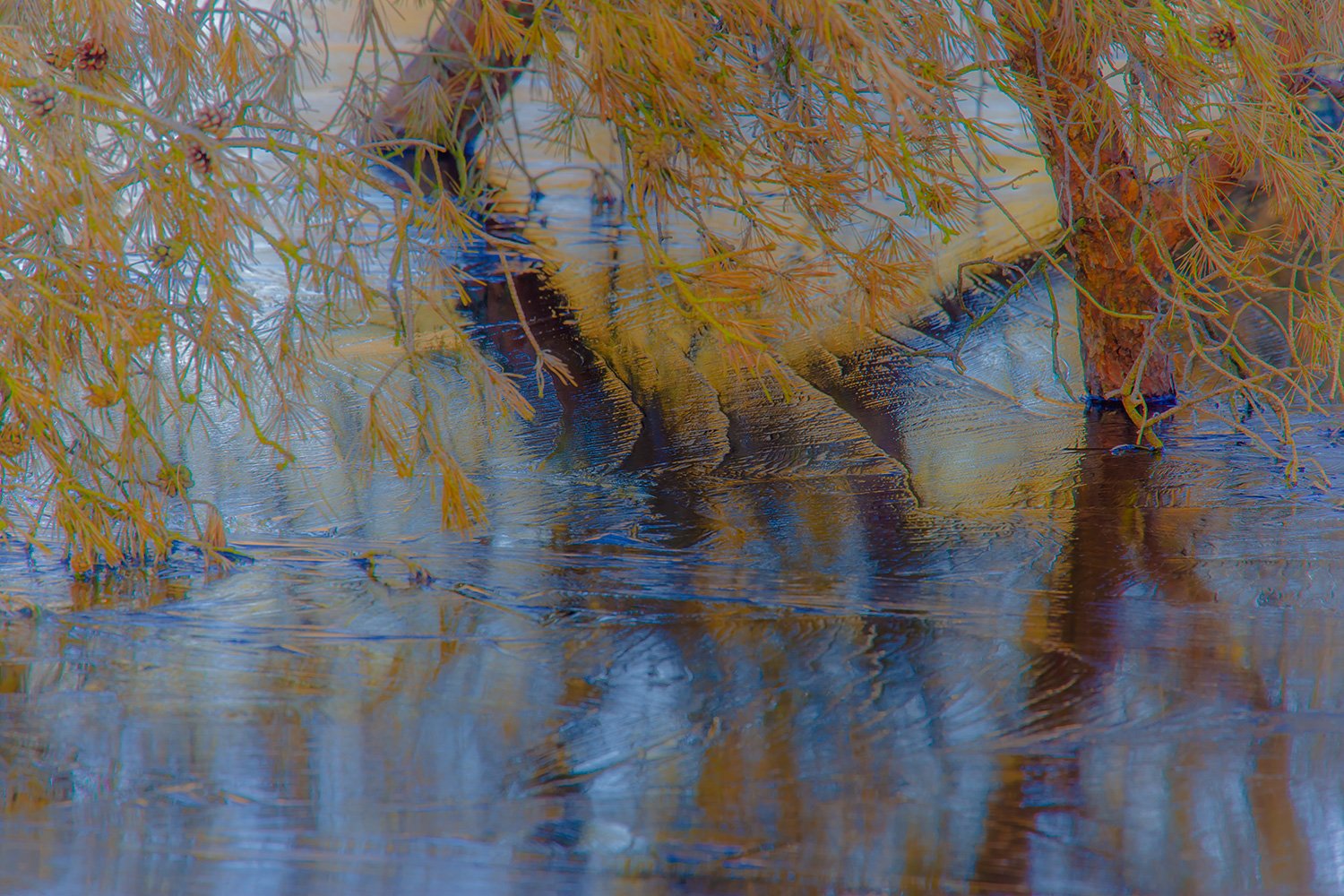 00043_M4_WINTO8_OISTERW_01_170208_6513RCCz-40_15