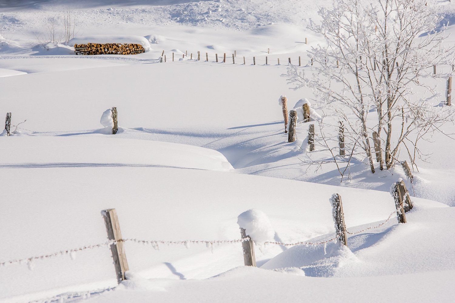 00045_ M7_020105_C_UNTERTAL_06_0069RCCz-20KL1_15