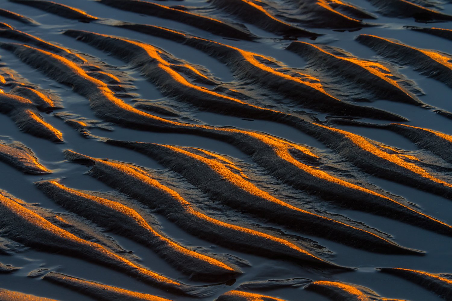 00045_M9_VERZHAAM_2011_HAAM27SEPT1_2011_4845RCCz-40_15