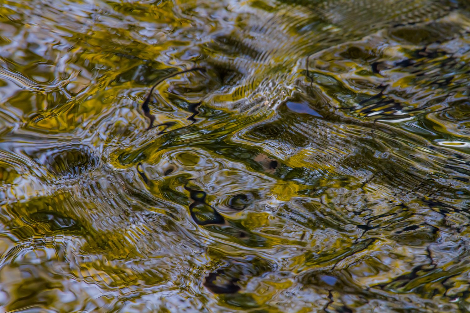 00049_IN2_HINTERB_KINDERB_02SEPT_2014_8407RCCz-40_15