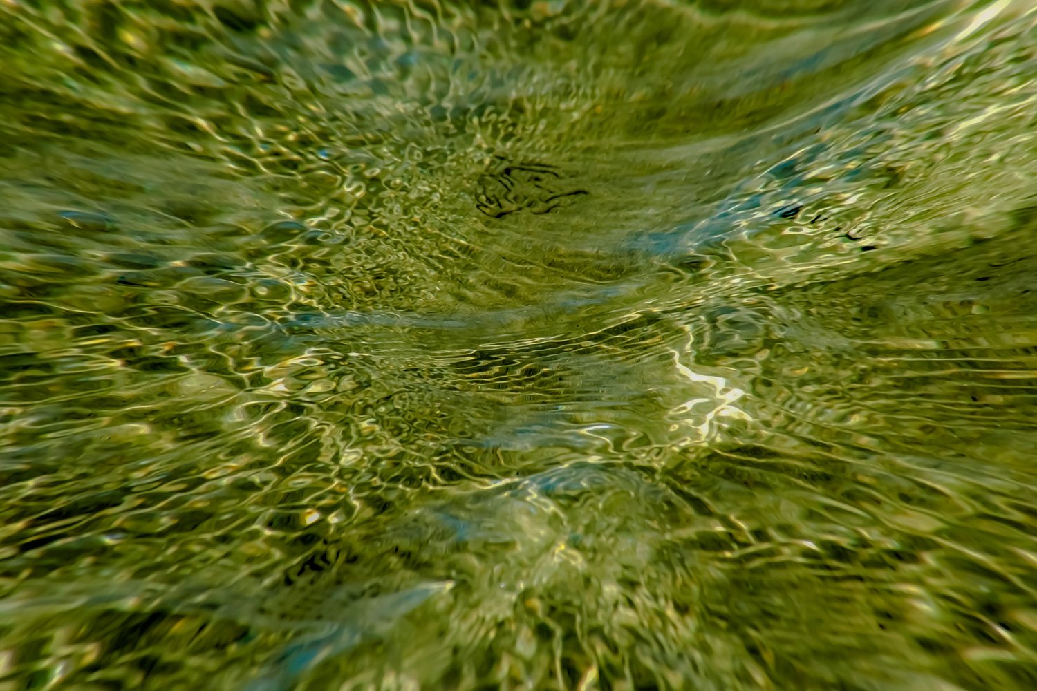 00051_M9_VERZHAAM_2005_140130_HAAMSTEDE_D_05_0410RCCz-40_15