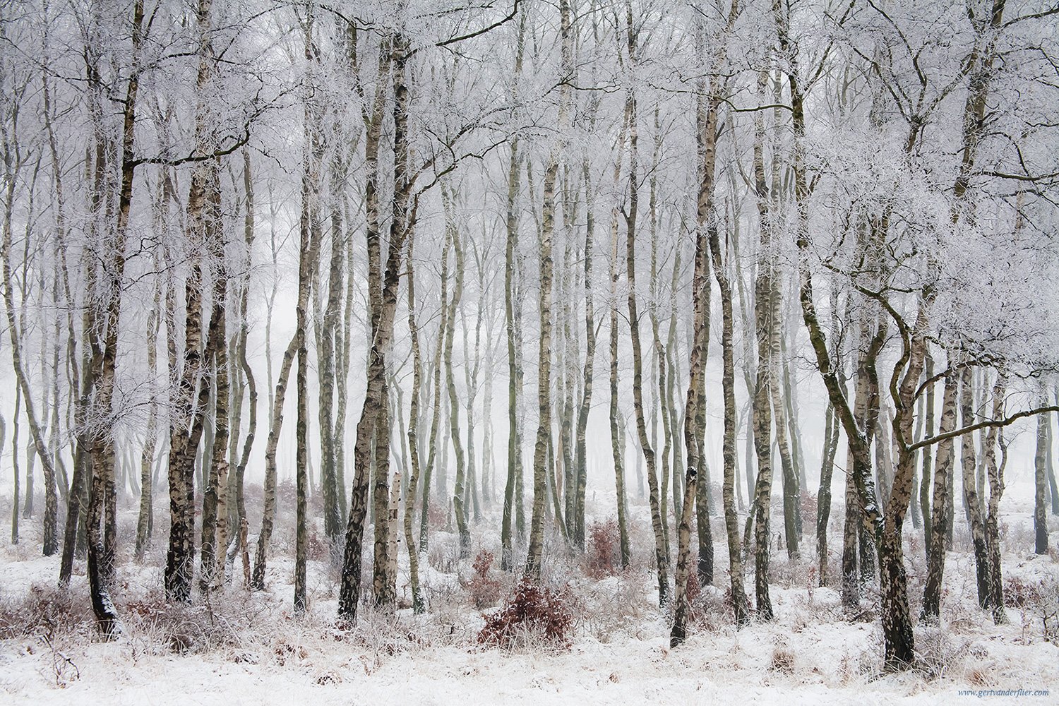 00053_HOGE-VELUWE08_9845AO1RncuzN_15