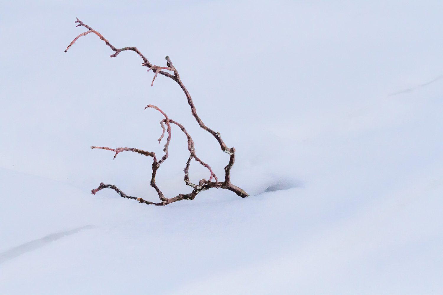 00054_M7_RAMDEC_14_BEW_RAM_1_19_DEC_2013_9297RCCz-40_15