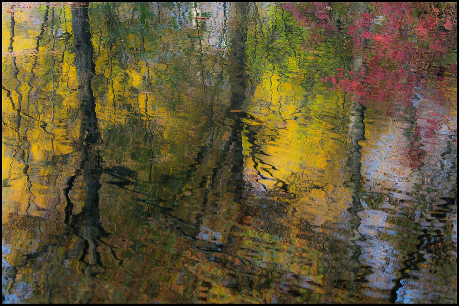 00057_Haamstede_1_2709_2011_4721AO1RncuzNor_15