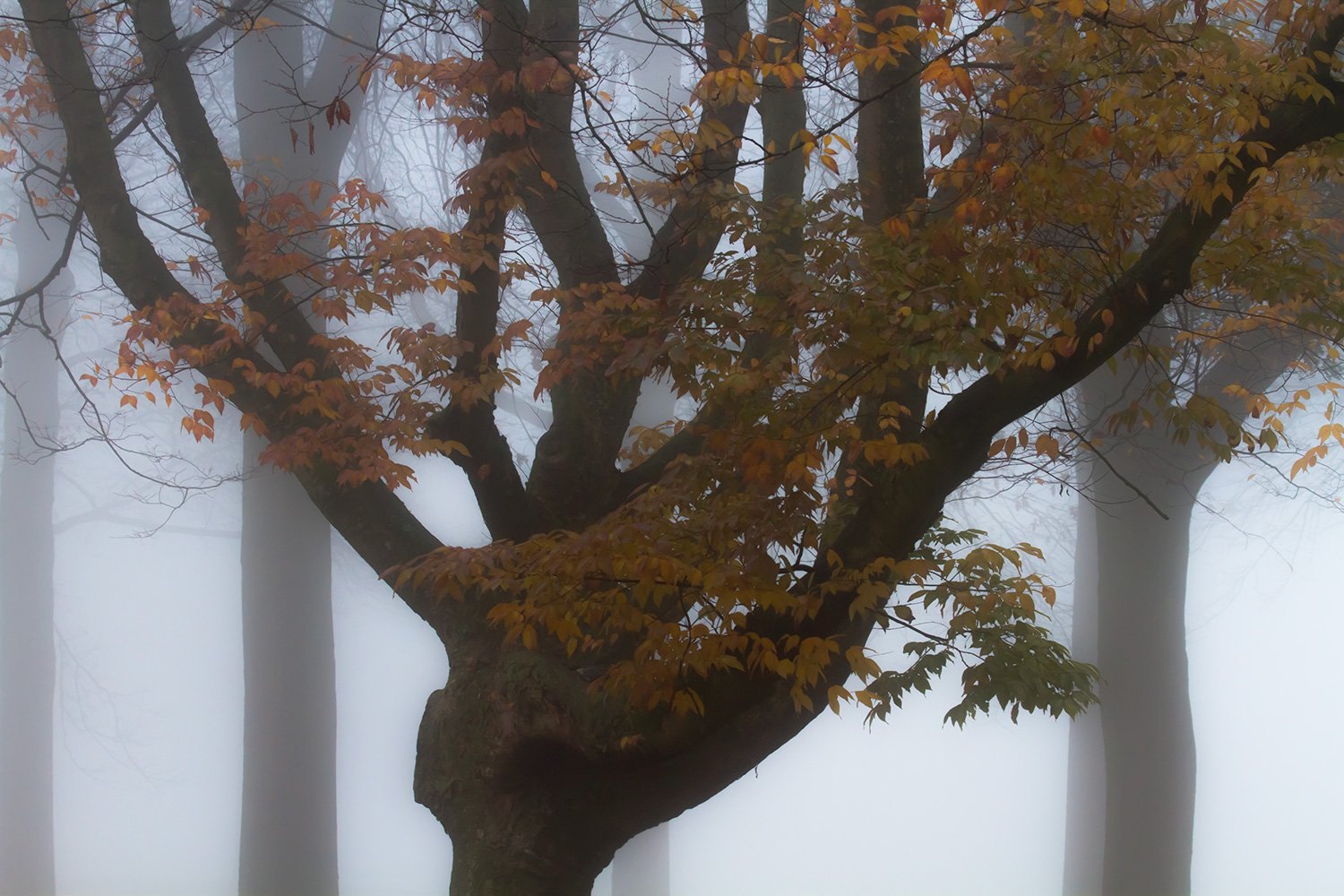 00061_IN1_KINDERBOERDERIJ_09DEC_2014_4143RCCz-402e_15