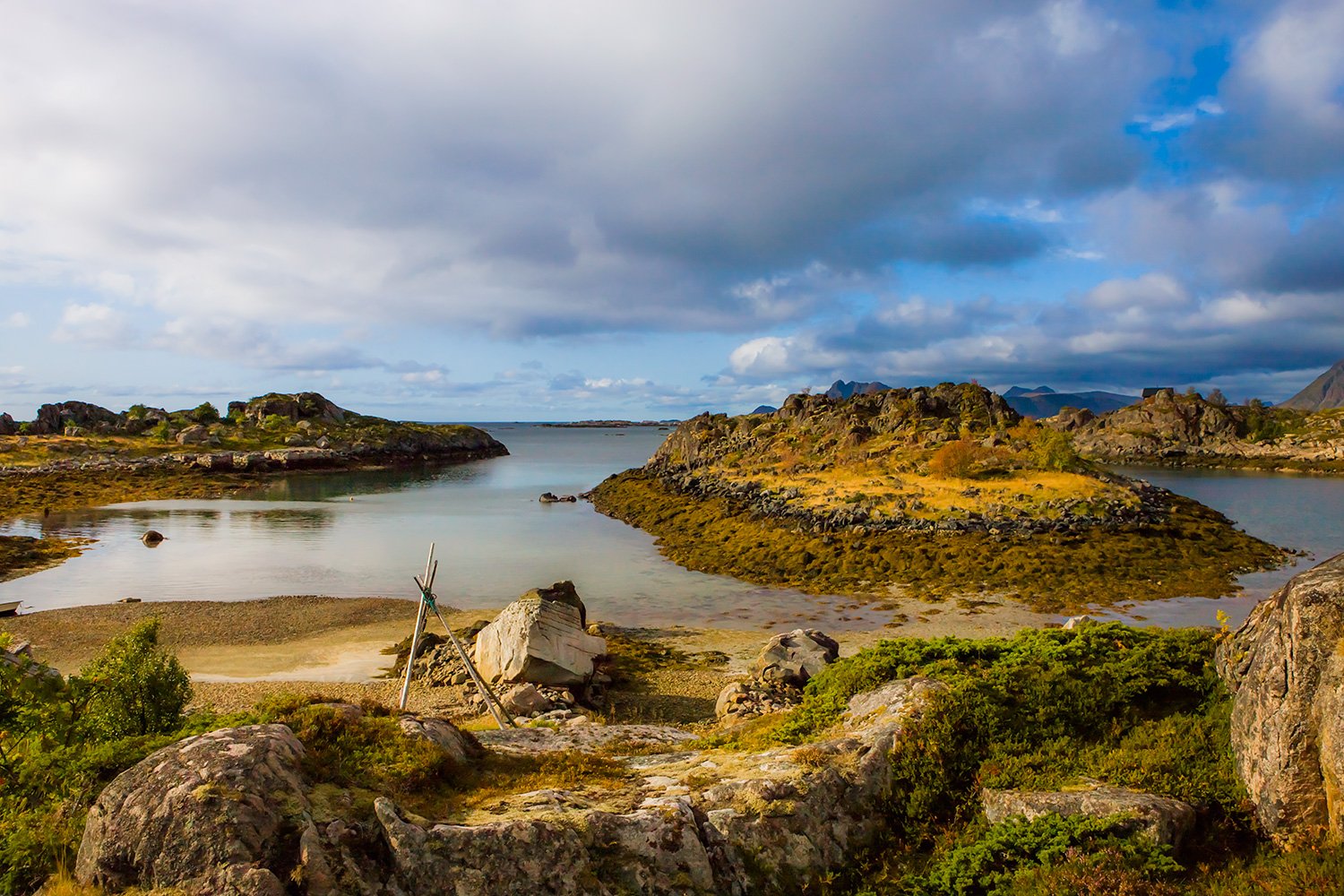 00063_M4_NO8_PHO_135_136_VIKT_2917RCCz-40_15