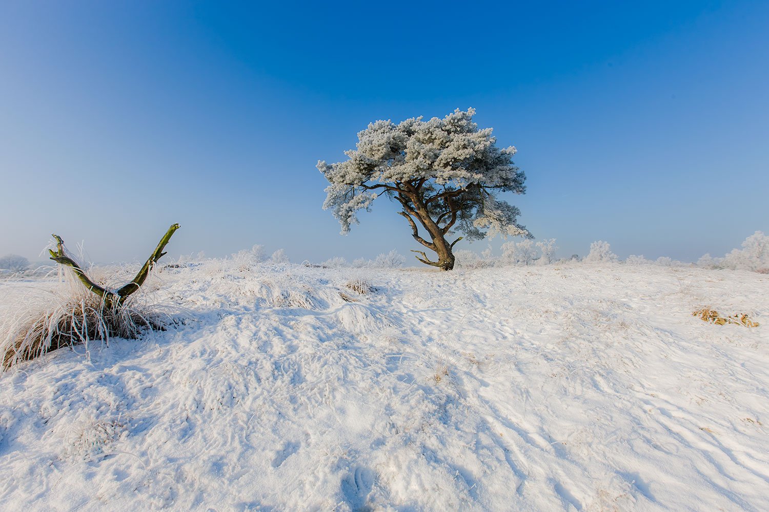 00069_M2_LOONSE_DRU_DUIN_09_01_10_0357RCCz-402e_15