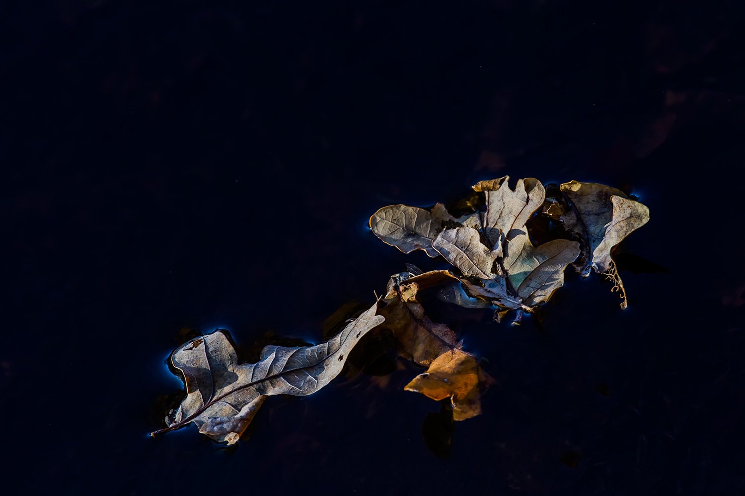 00071_M1_ELSENDORP_3_14NOV_2014_6214RCCz+40_15