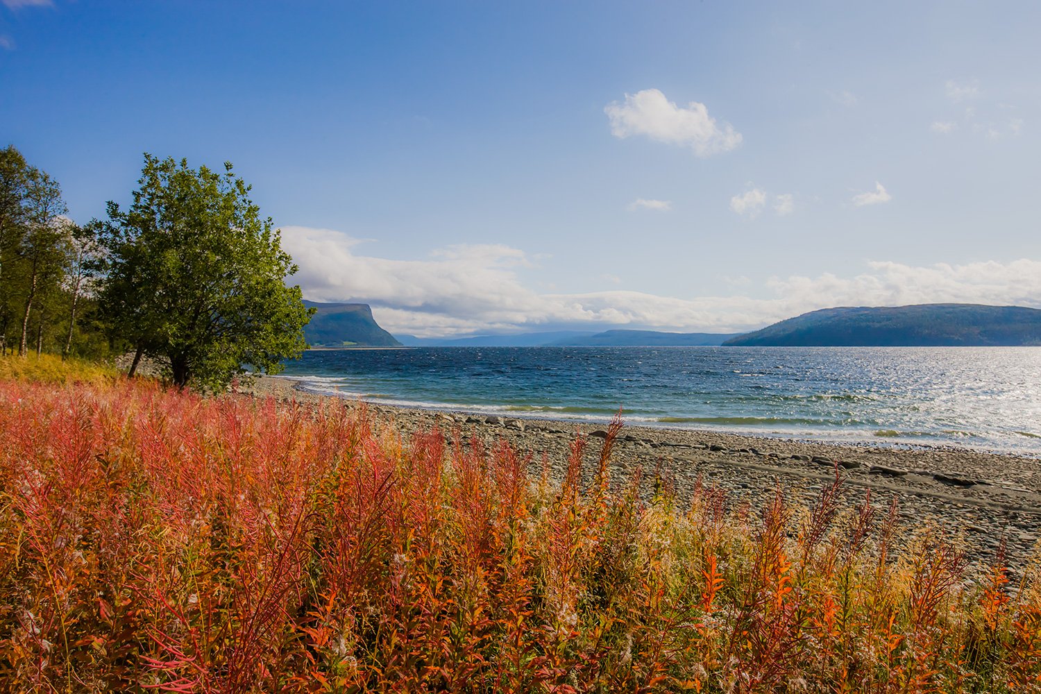 00077_M4_NO8_PH_154_155_ROYV_4667RCCz-40_15