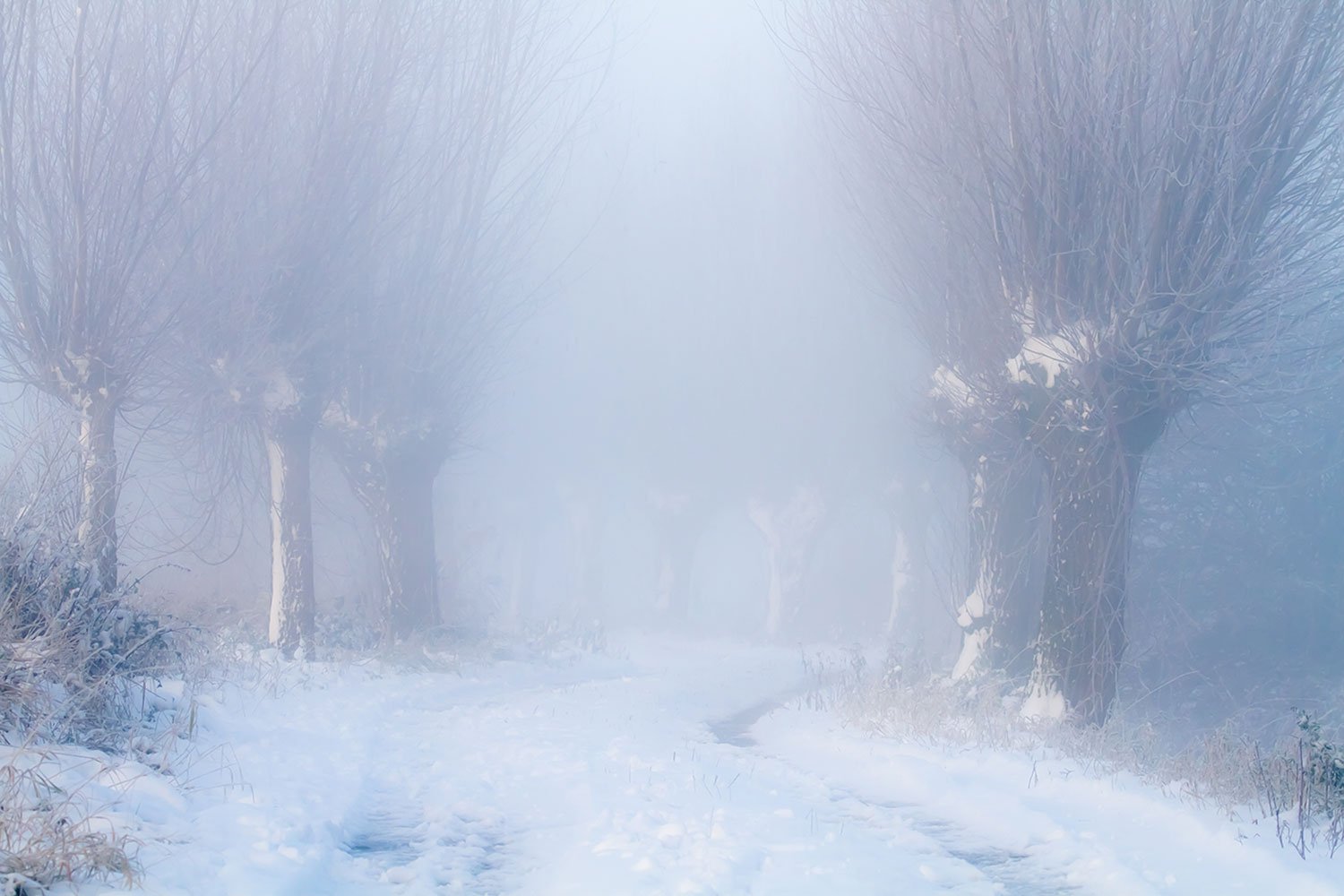 00077_OSSEMEER_08DEC_2012_8114RCCz-40_15