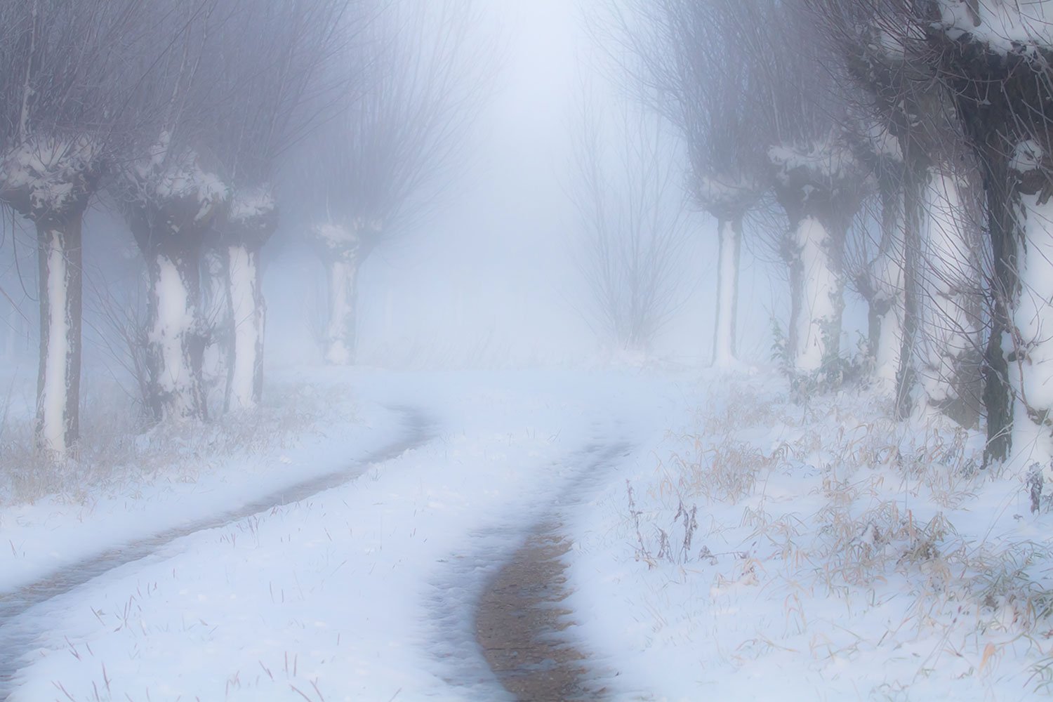 00081_OSSEMEER_08DEC_2012_8136RCC-90_15