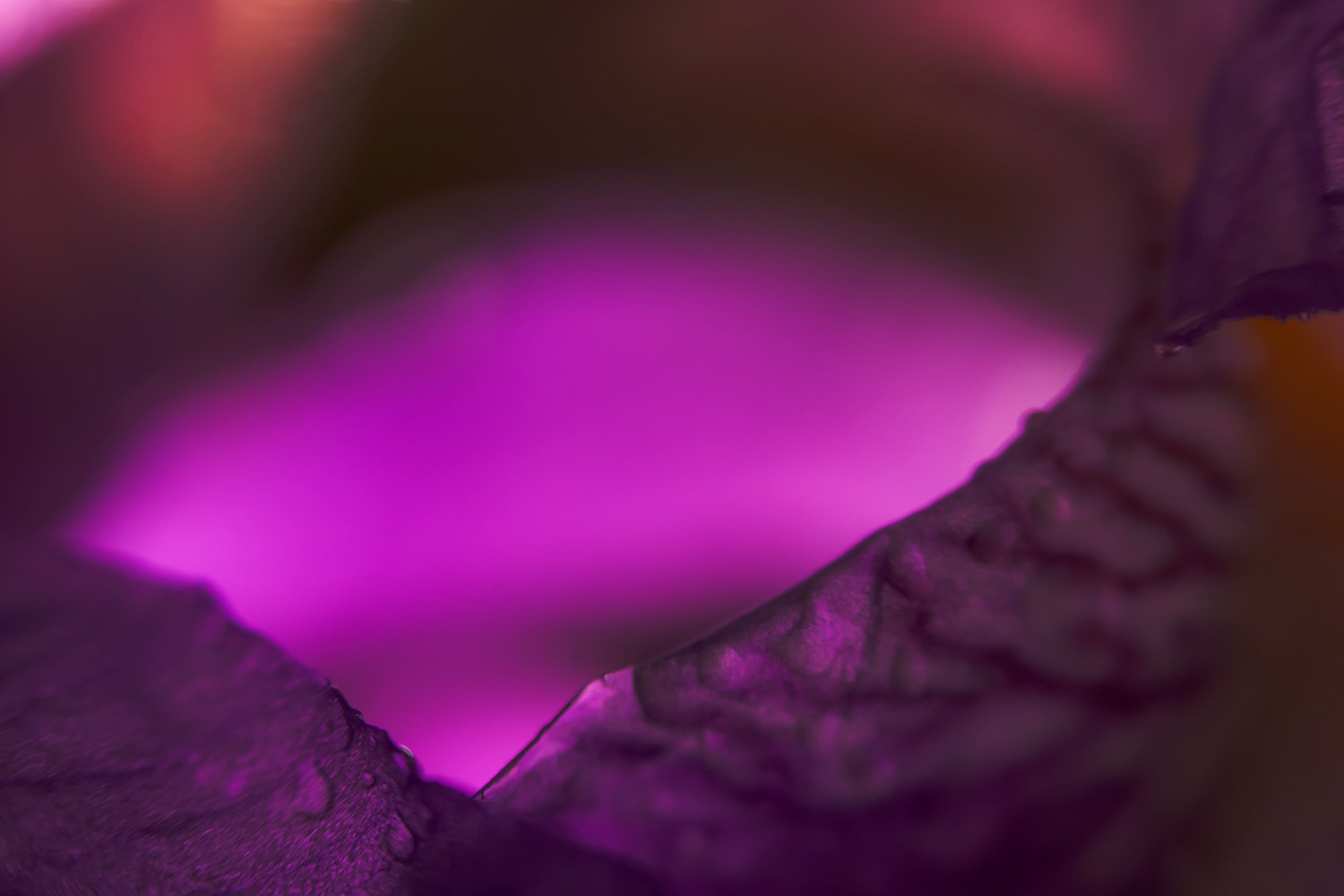 IN1_MACRO_4MEI_2010_2919RCCz-10_15