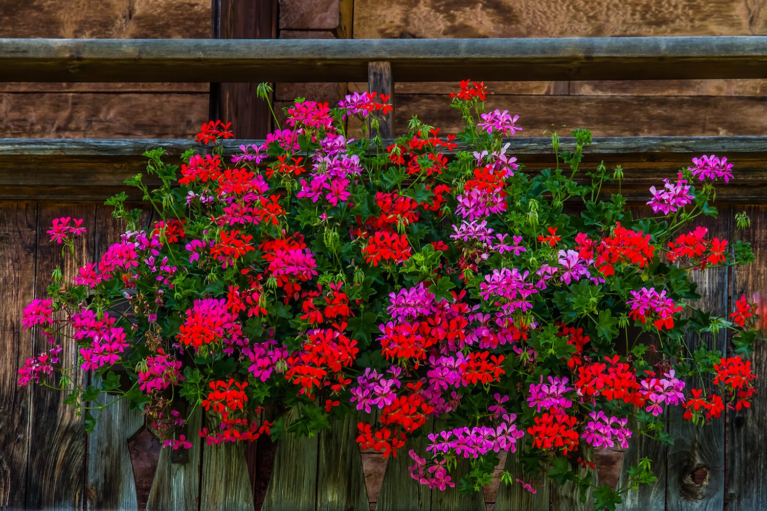 00005_M1_HINTERB_42_13AUG_2013_1714AO1RCCz+40_15