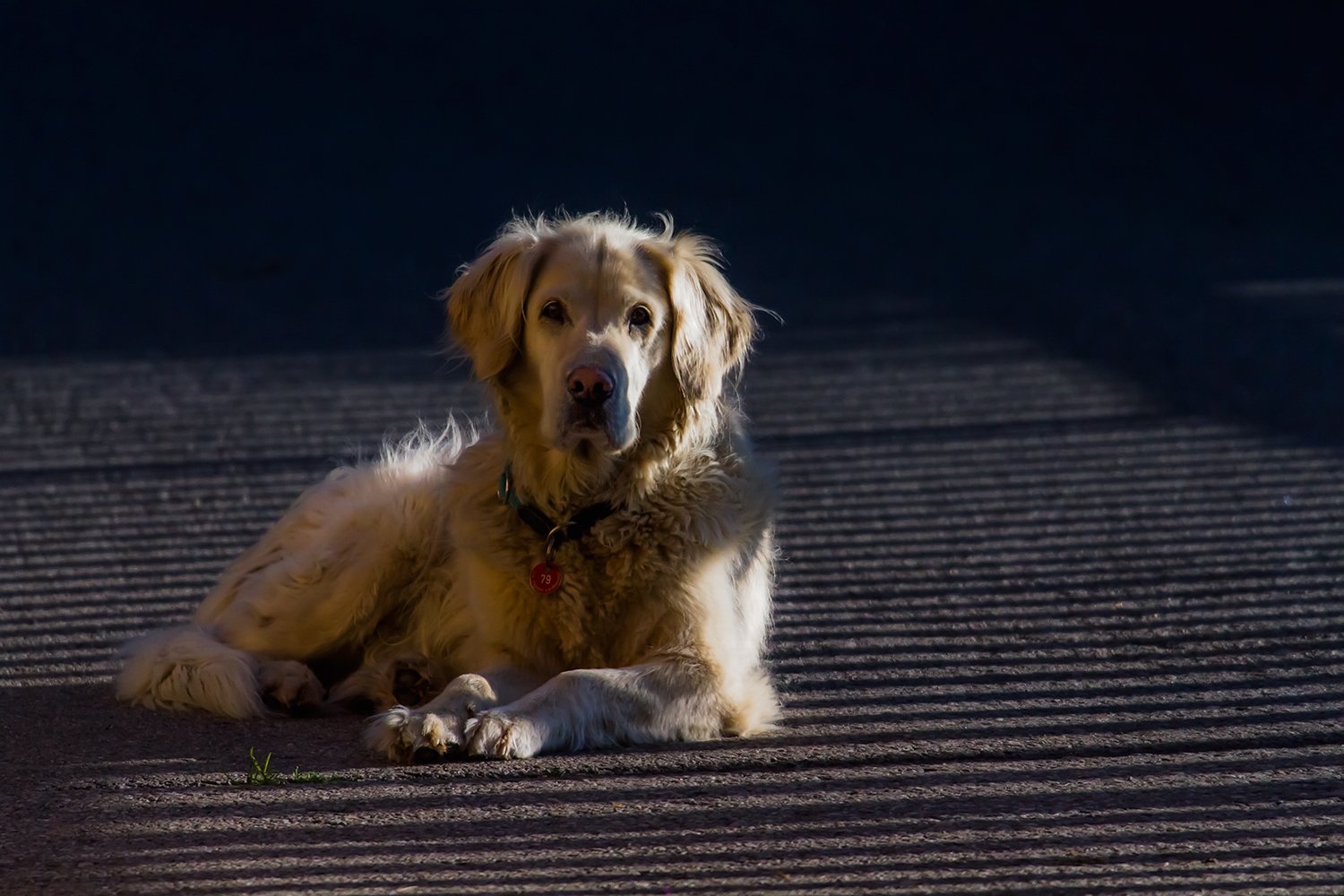 00011_MOBIHD_HINTERB_02AUG_2014_7337RCCz-40_15