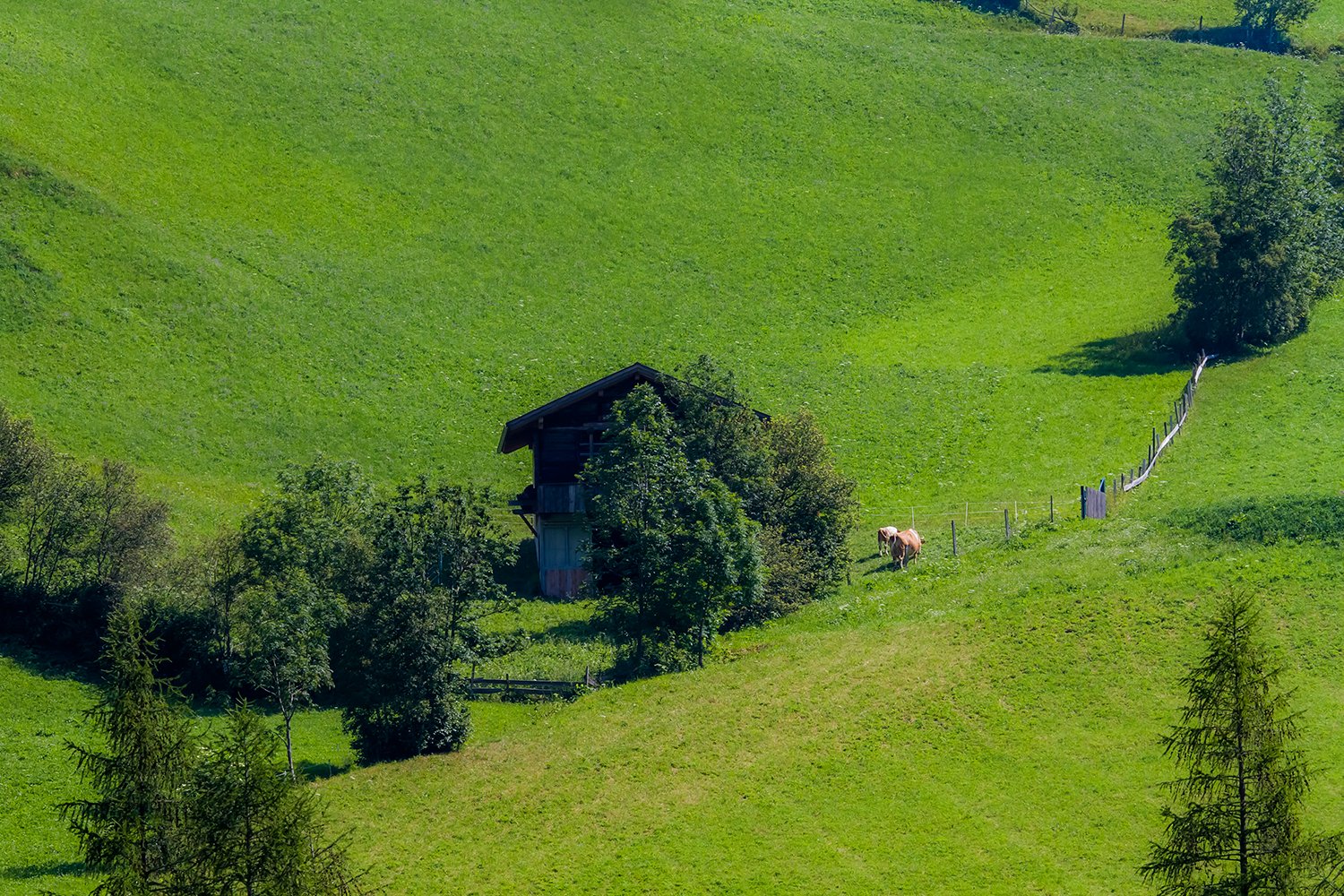 00029_M1_HINTERB_6_21JULI_2013_1292RCCz-40_15