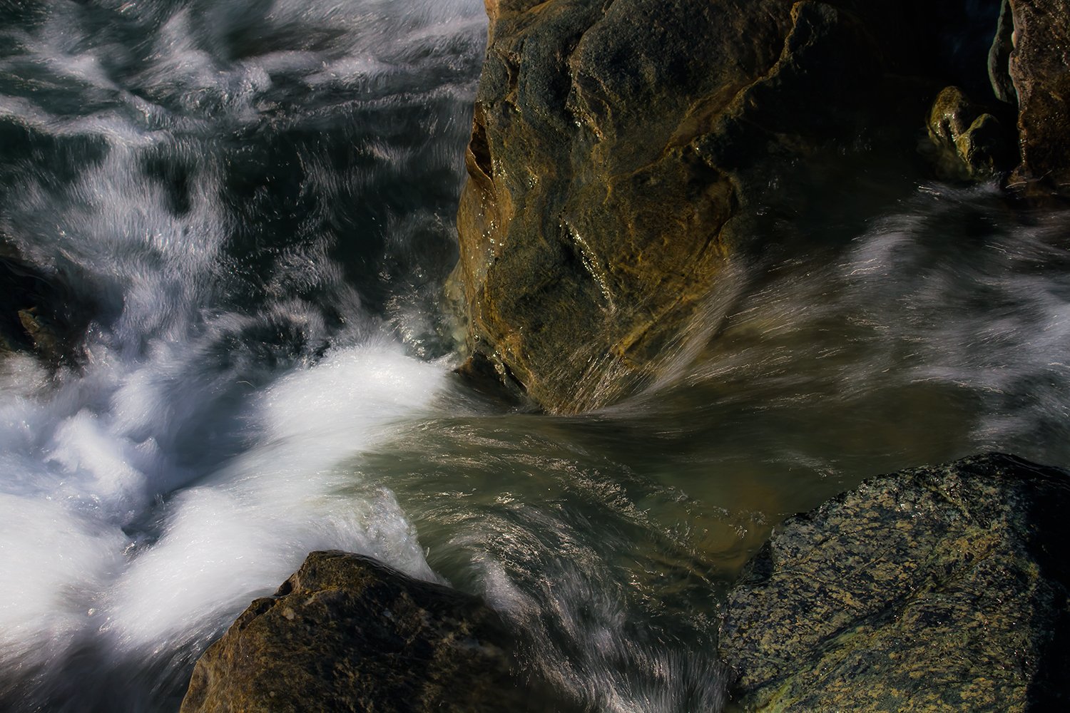 00036_HINTERB_1_7D_21AUG_2015_2326RCC_80_15