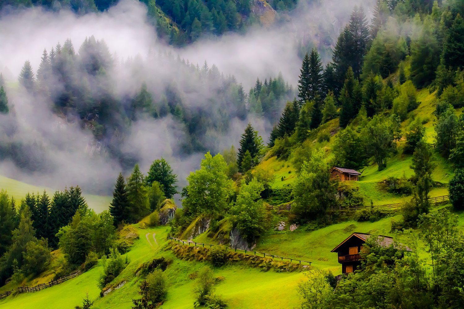 00055_HINTERB_1_7D_19AUG_2015_8742RCCz-40_15