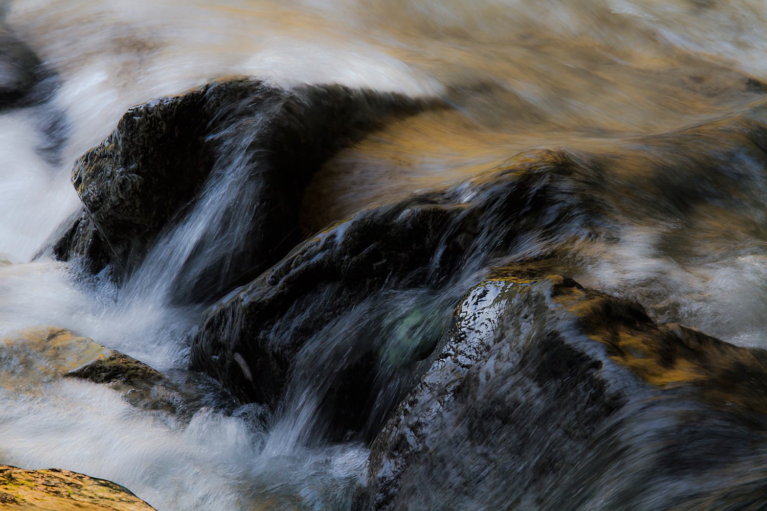 00069_HINTERB_1_7D_13AUG_2015_5938RCCz-80_15