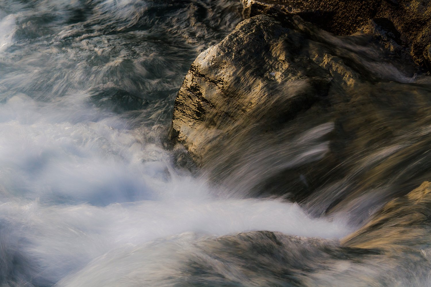 00079_HINTERB_1_7D_13AUG_2015_5994RCCz-80_15