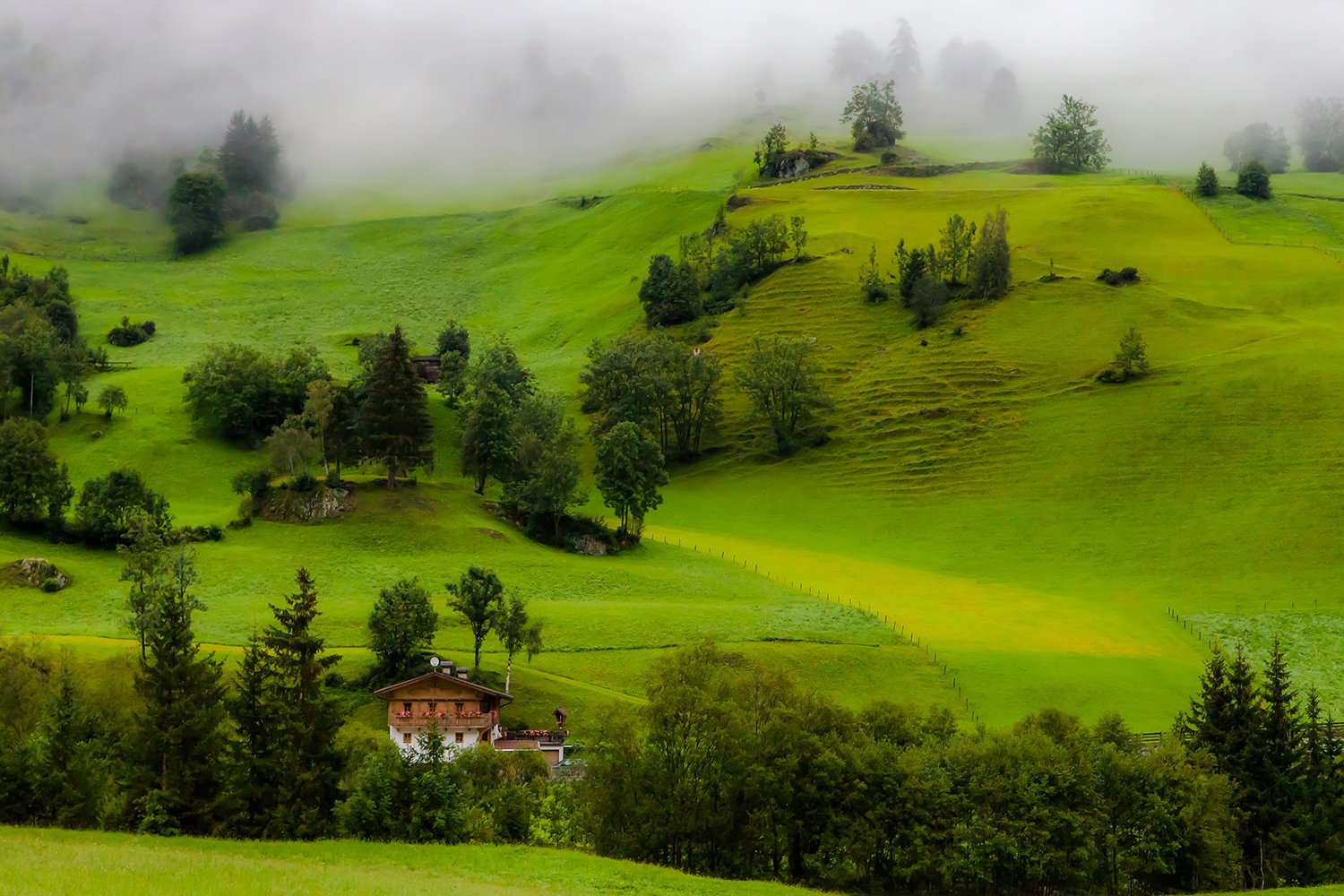 00155_HINTERB_7_5D_19AUG_2015_1163RCCz-40_15