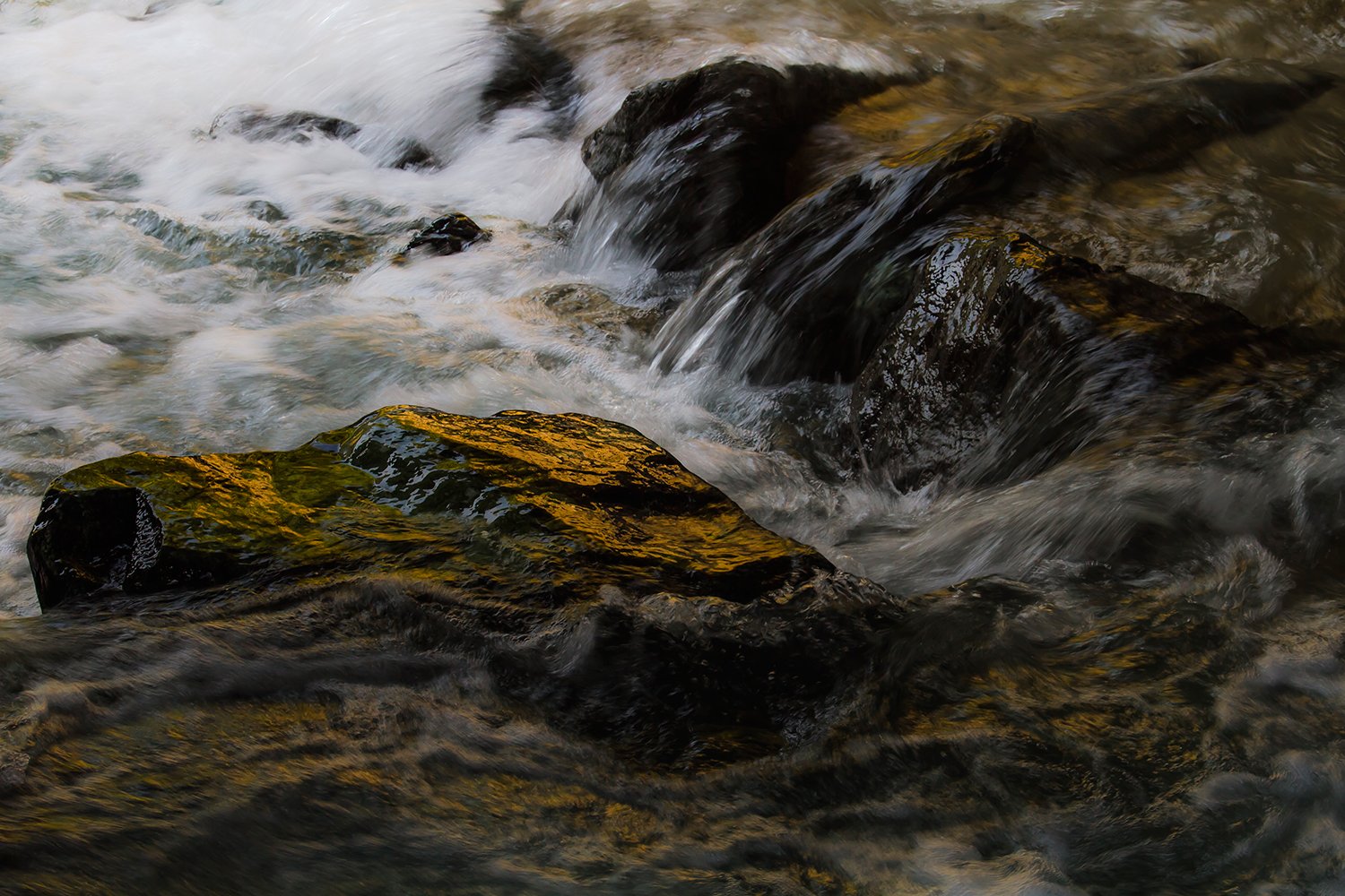 00179_HINTERB_1_7D_13AUG_2015_5854RCCz-80_15