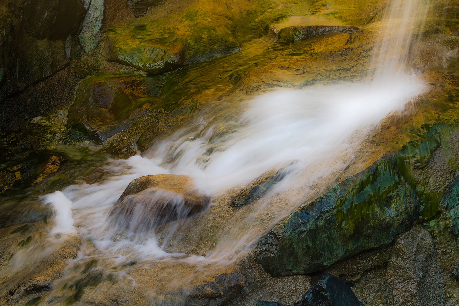 00199_HINTERB_1_7D_21AUG_2015_2540RCCz-80_15