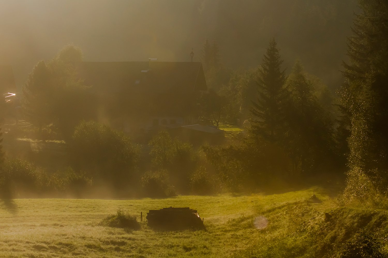 00245_HINTERB_1_22AUG_2015_4491RCCz-40_15