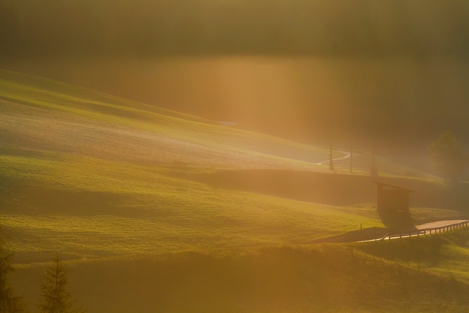 00255_HINTERB_2_7D_11AUG_2015_5525RCCz-40_15