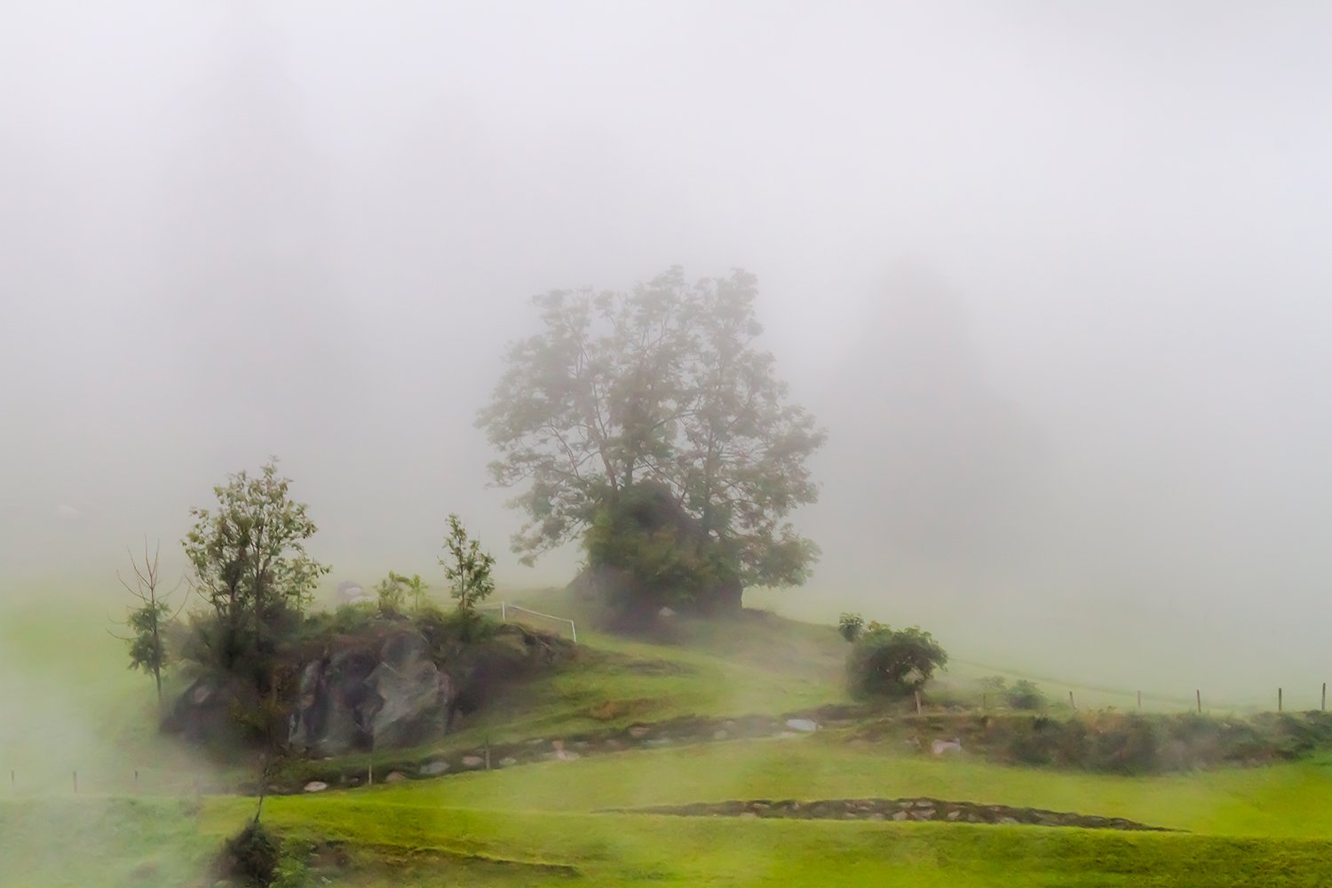 00425_HINTERB_1_7D_19AUG_2015_8617RCCz-402e_15