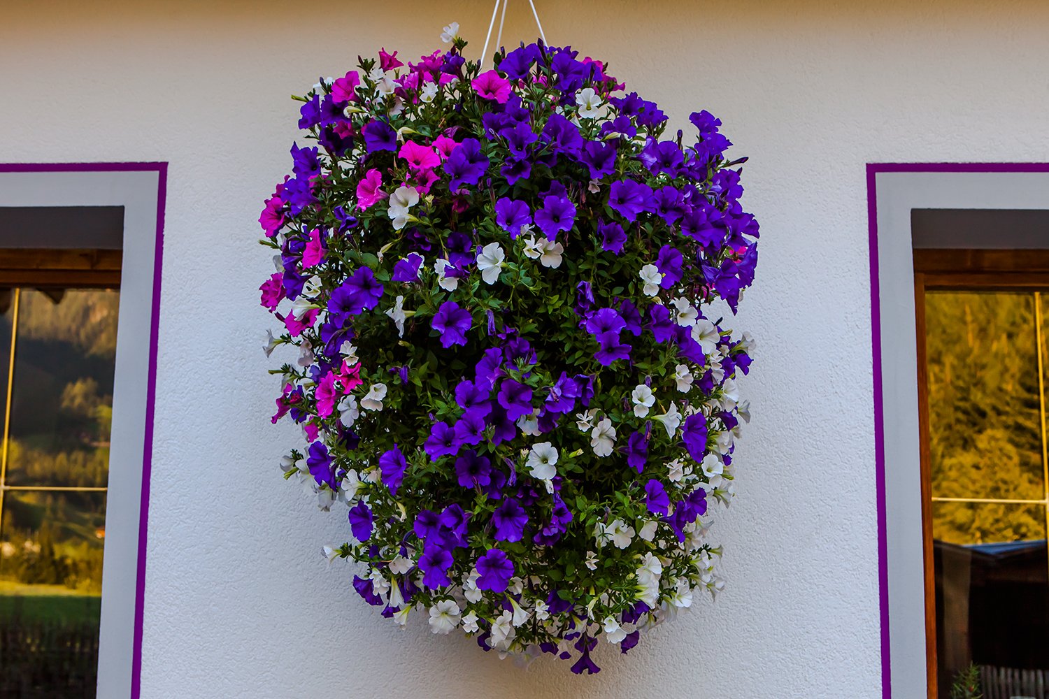 00717_HINTERB_1_5D_11AUG_2015_0288RCCz02e_15