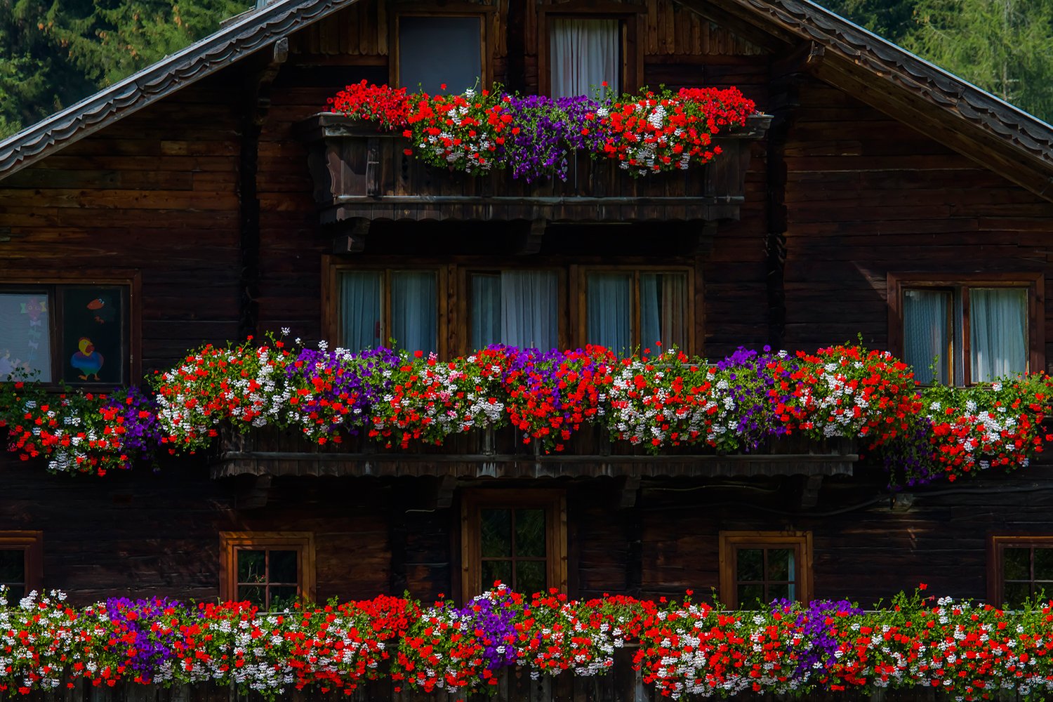 00831_HINTERB_2_23AUG_2015_6118RCCz-40-15